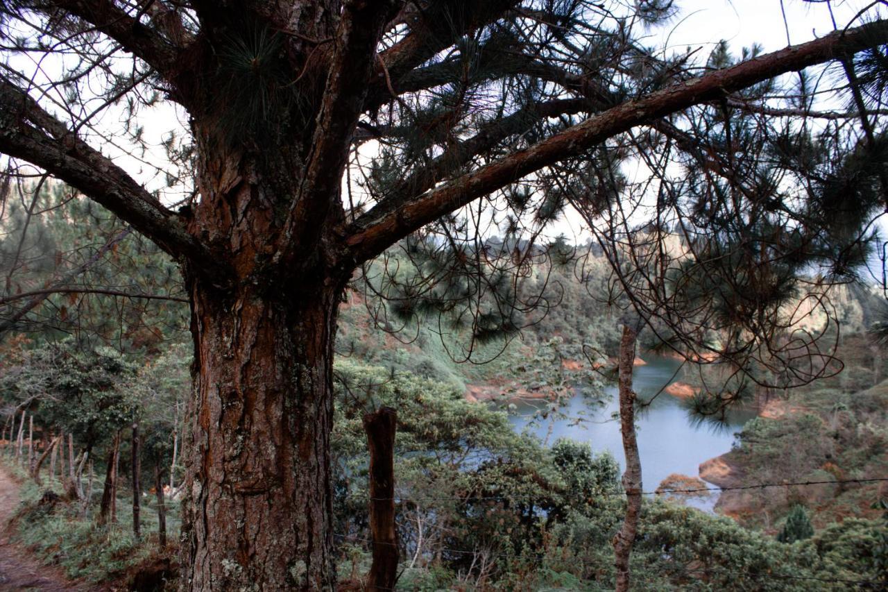 Cabanas Refugio Himalaya Guatapé Kültér fotó